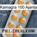 Kamagra 100 Ajanta levitra1